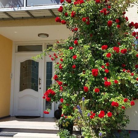 Ferienwohnung Kirsch ザンクト・ヴェンデル エクステリア 写真